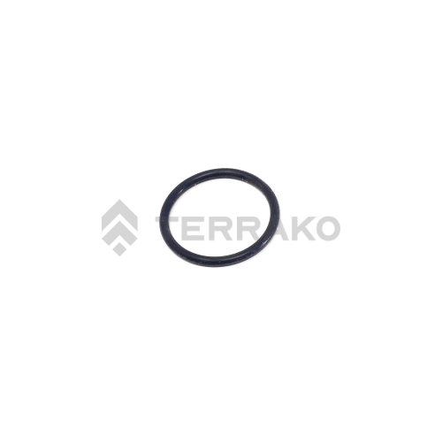  O RING  product photo image_1 L