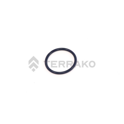  O RING  product photo image_1 L