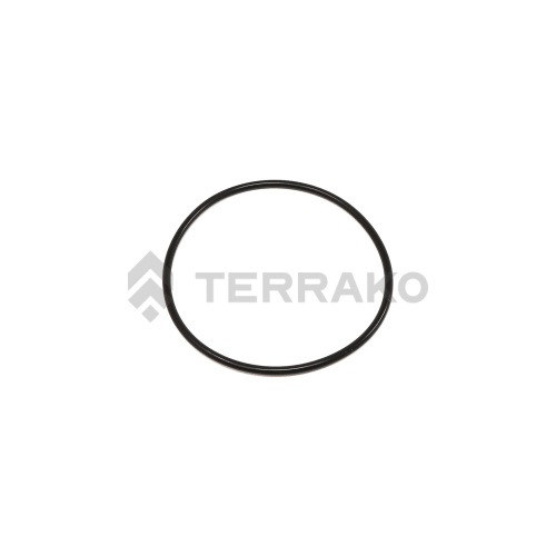  O RING  product photo image_1 L