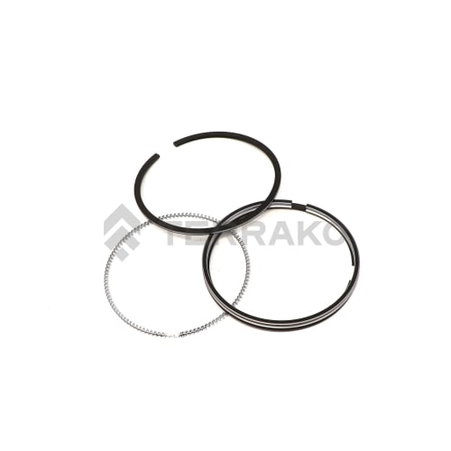  PISTON RING ASSY  product photo image_1 L