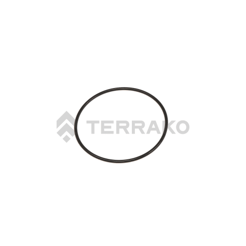  O RING  product photo image_1 L