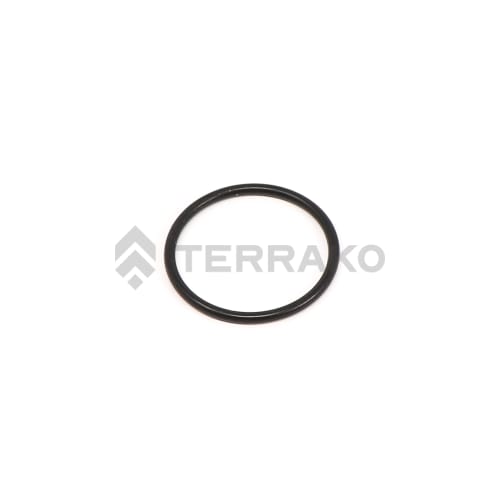  O-RING  Produktbild image_1 L
