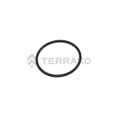  O RING  product photo image_1 L
