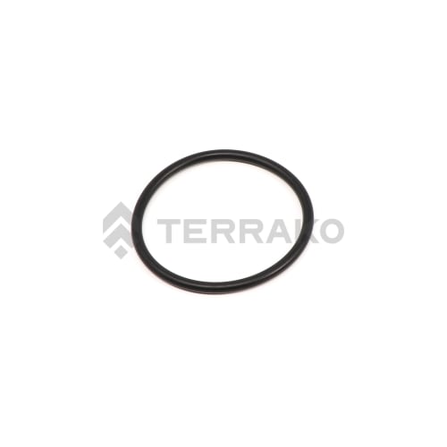  O-RING  Produktbild image_1 L