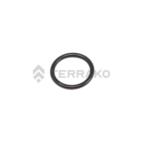  O RING  product photo image_1 L