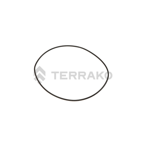  O RING  product photo image_1 L