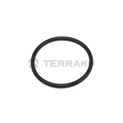  O-RING  product photo image_1 L