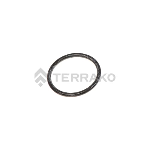 O RING, O-RING  product photo image_1 L