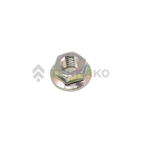  NUT  product photo image_1 L