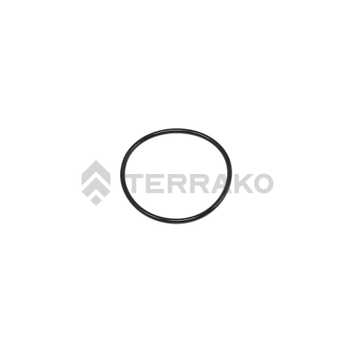  O RING  product photo image_1 L