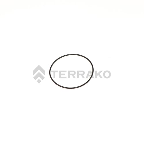  O RING, O-RING  product photo image_1 L
