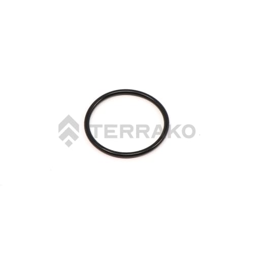  O RING, O-RING  product photo image_1 L