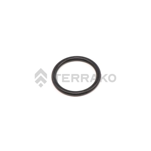  O-RING  product photo image_1 L