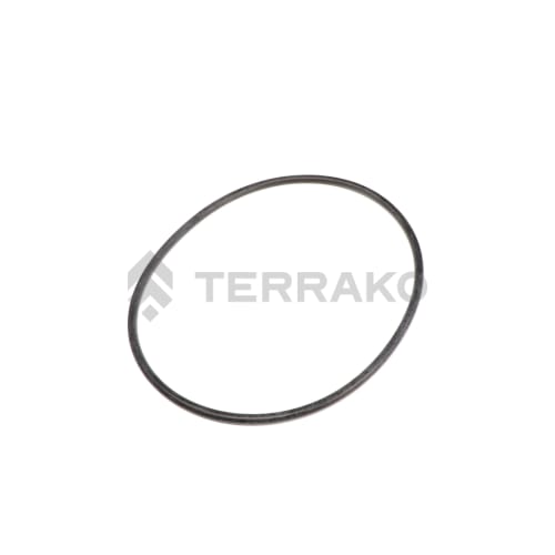  O-RING  product photo image_1 L