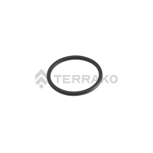  O RING  product photo image_1 L