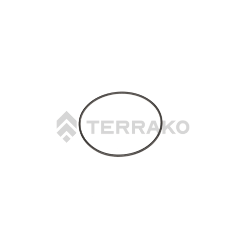  O RING  product photo image_1 L