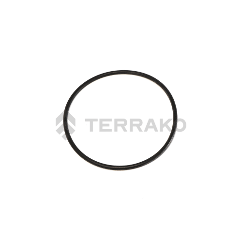 O-RING product photo image_1 L