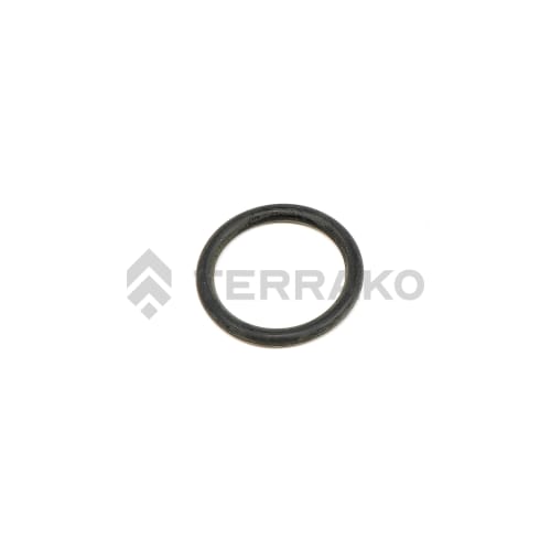  O RING  product photo image_1 L