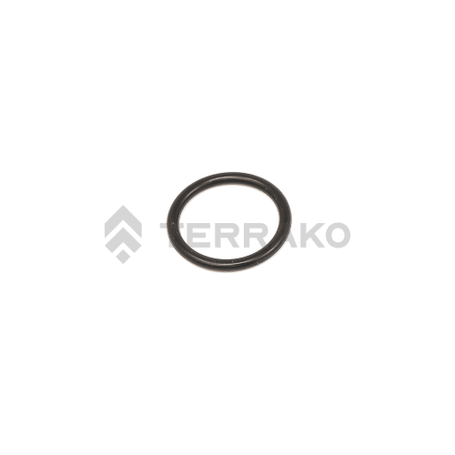  O RING  product photo image_1 L
