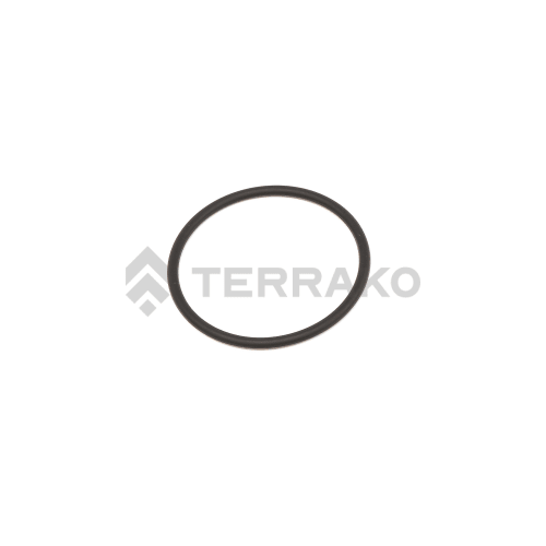  O-RING(FILTER)  product photo image_1 L