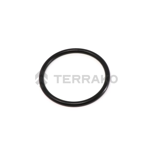 O-RING  product photo image_1 L