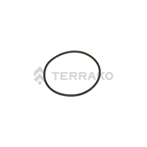 O-RING product photo image_1 L