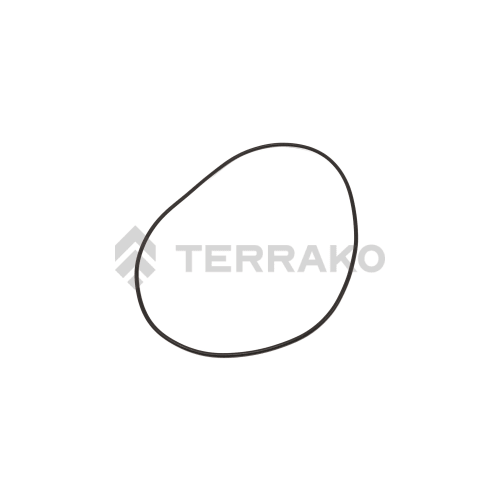  O-RING, O RING  product photo image_1 L