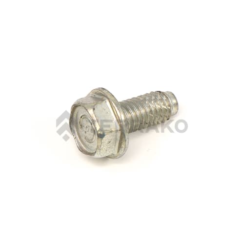  FLANGE TAPPING BOLT, FLANGE BOLT, BOLT  product photo image_1 L
