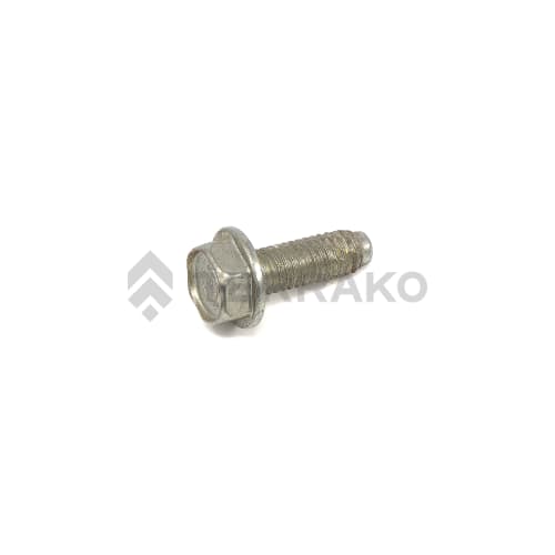 FLANGE TAPPING BOLT  product photo image_1 L
