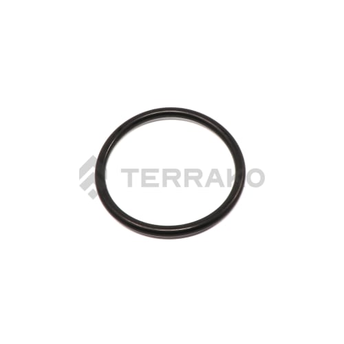  O RING  product photo image_1 L