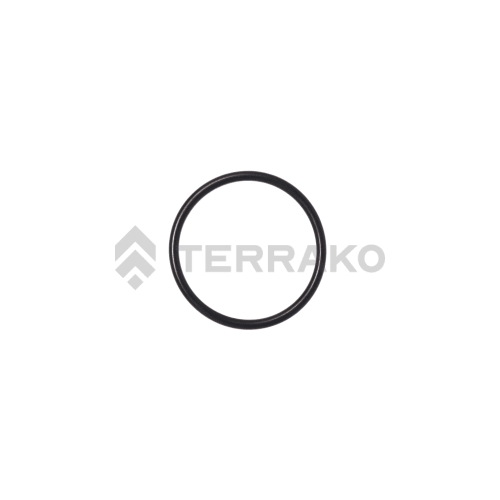  O`RING  product photo image_1 L