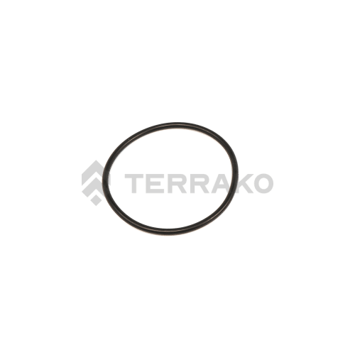  O RING  product photo image_1 L