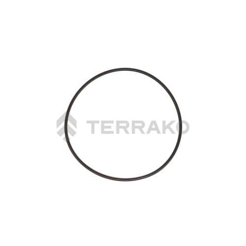  O RING  product photo image_1 L