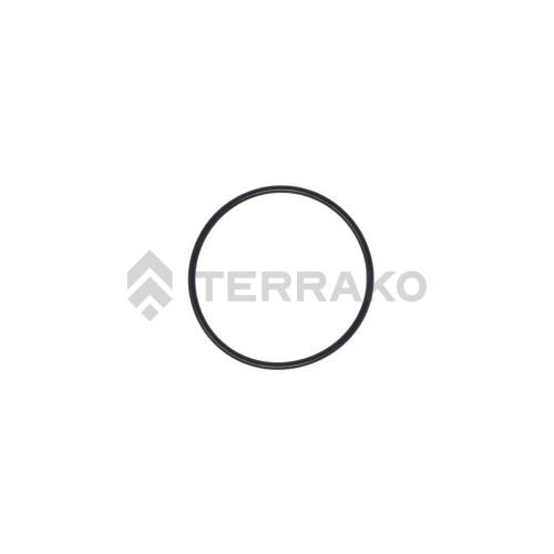  O RING  product photo image_1 L