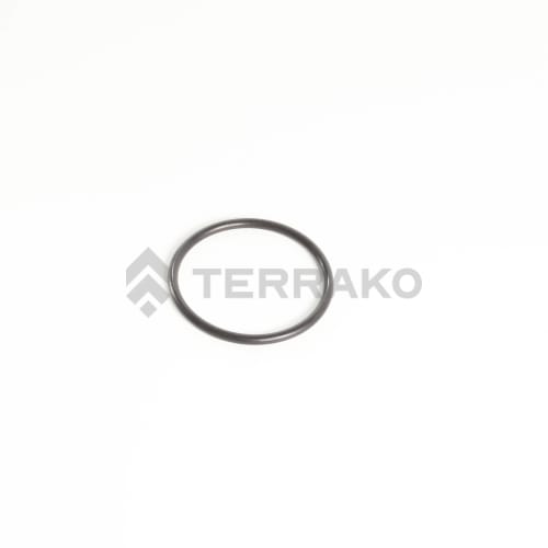  O RING  product photo image_1 L