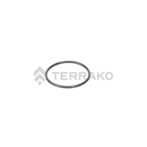  O RING  product photo image_1 L