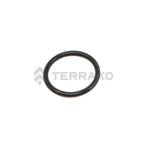  O RING  product photo image_1 L