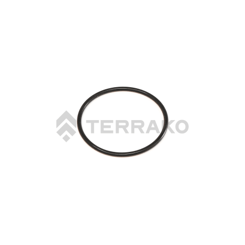  O RING  product photo image_1 L