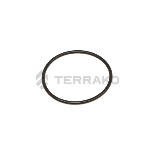  O-RING  product photo image_1 L