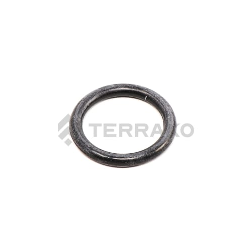  O RING  product photo image_1 L