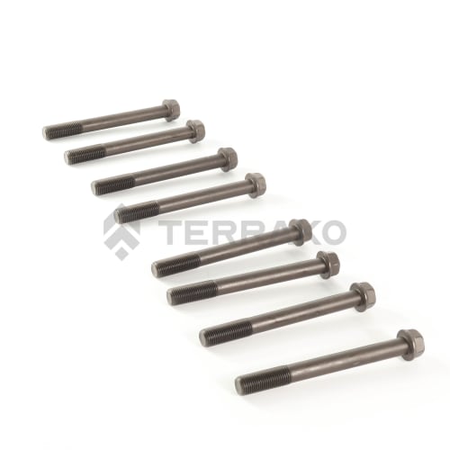  ZYLINDERKOPFDICHTUNG + SCHRAUBEN  Produktbild image_1 L