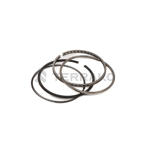  ASSY PISTON RING  product photo image_1 L