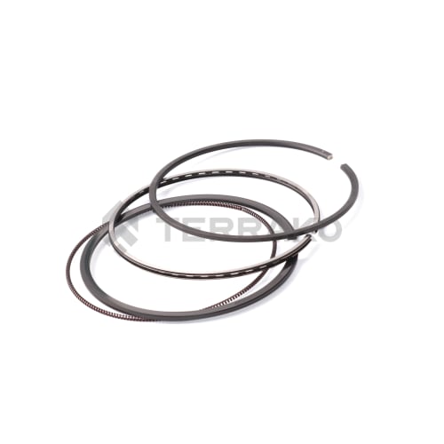  ASSY PISTON RING  product photo image_1 L