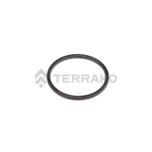  O RING  product photo image_1 L