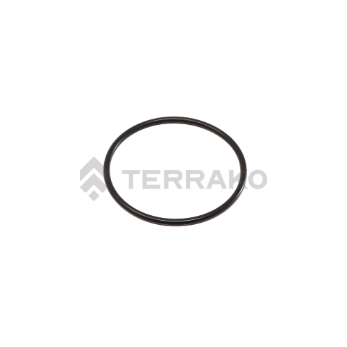  O RING  product photo image_1 L