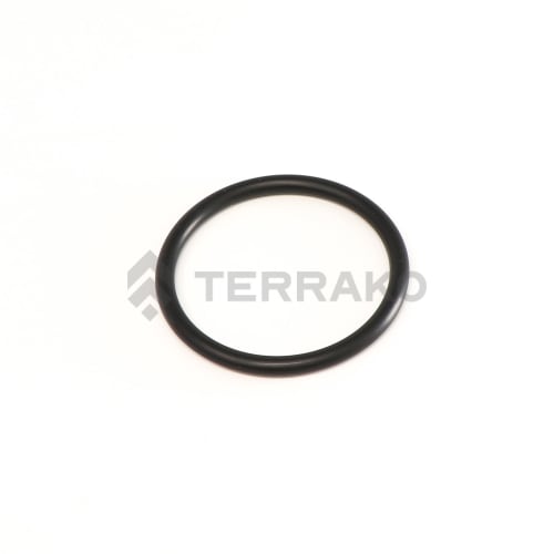  O RING  product photo image_1 L
