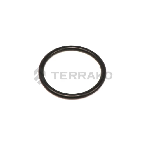  O RING  product photo image_1 L