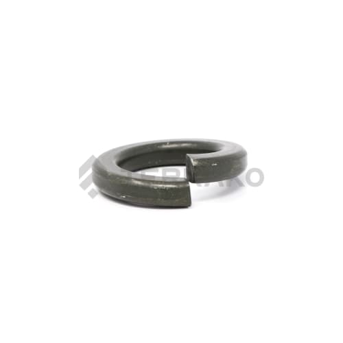  WASHER SPRING(M)  product photo image_1 L
