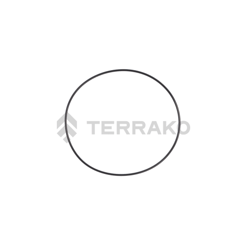  O RING  product photo image_1 L