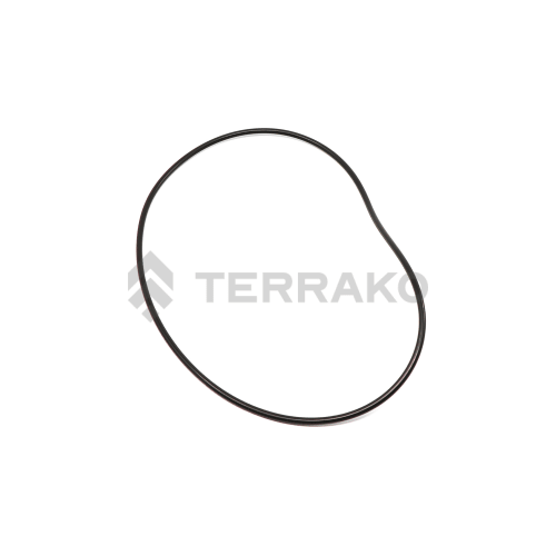  O RING  product photo image_1 L